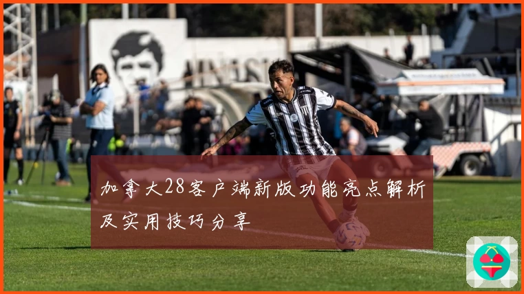 加拿大28客户端新版功能亮点解析及实用技巧分享