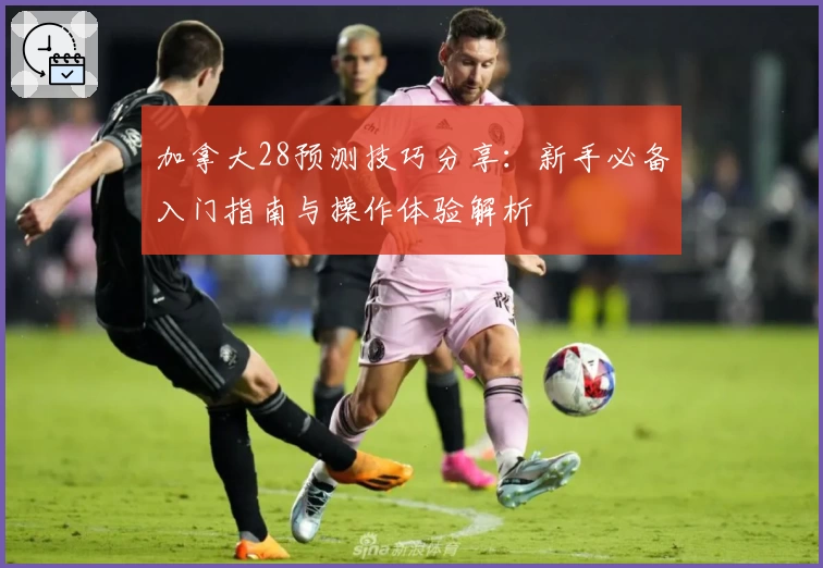 加拿大28预测技巧分享：新手必备入门指南与操作体验解析