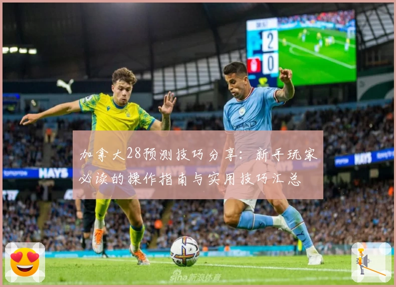 加拿大28预测技巧分享：新手玩家必读的操作指南与实用技巧汇总