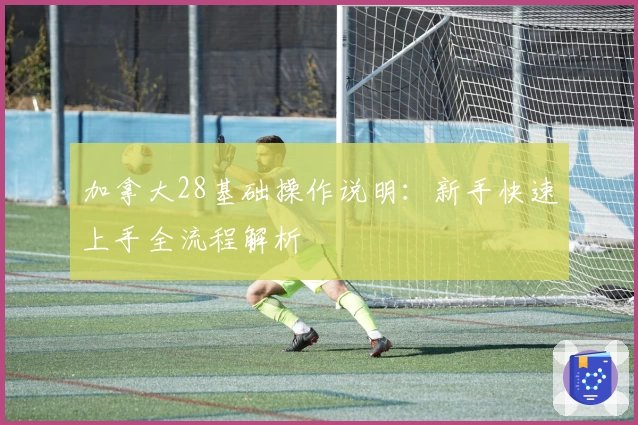 加拿大28基础操作说明：新手快速上手全流程解析