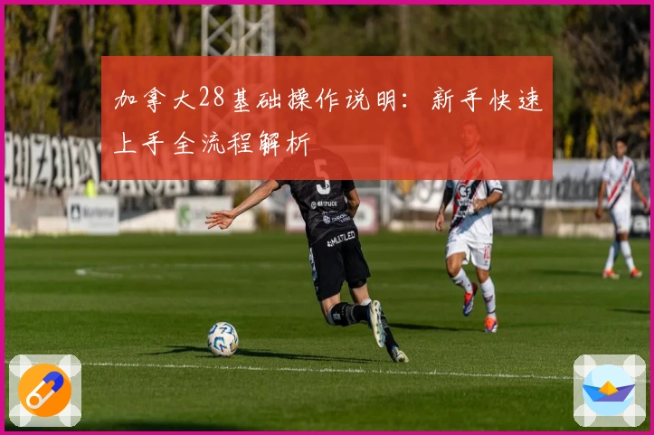 加拿大28基础操作说明：新手快速上手全流程解析