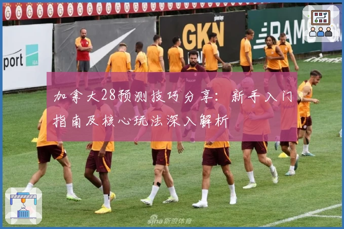 加拿大28预测技巧分享:新手入门指南及核心玩法深入解析