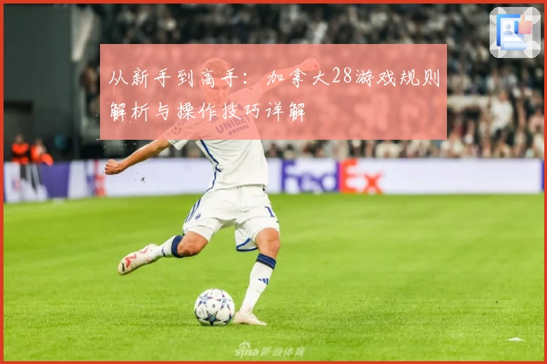 从新手到高手：加拿大28游戏规则解析与操作技巧详解
