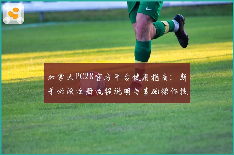 加拿大PC28官方平台使用指南：新手必读注册流程说明与基础操作技巧解析