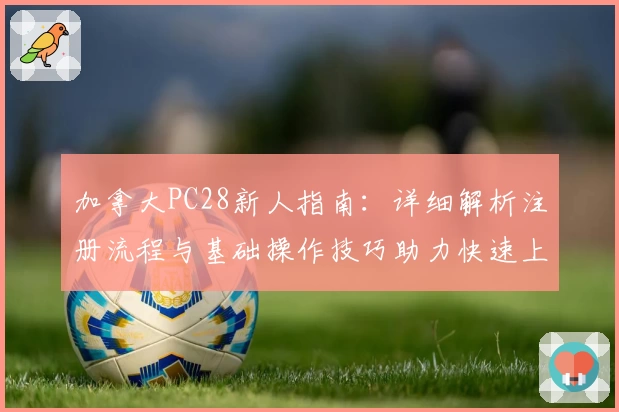加拿大PC28新人指南：详细解析注册流程与基础操作技巧助力快速上手