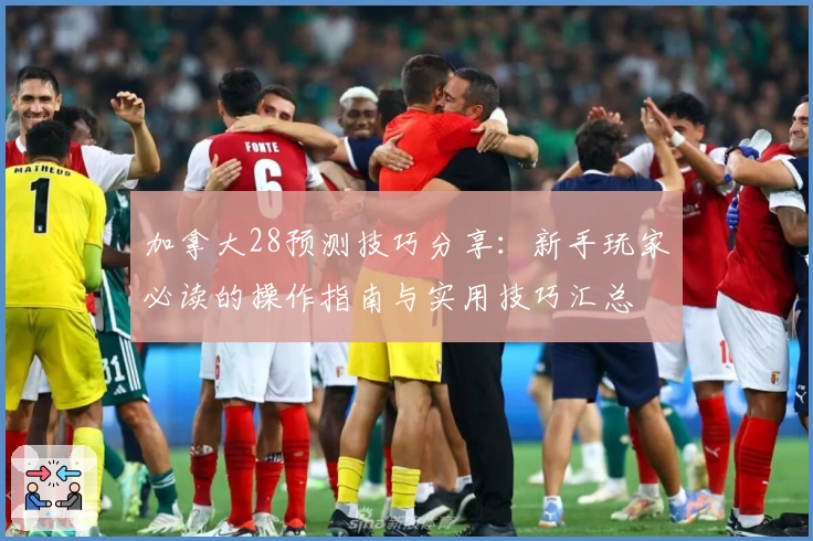 加拿大28预测技巧分享：新手玩家必读的操作指南与实用技巧汇总