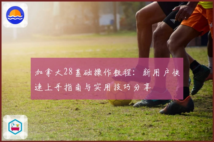 加拿大28基础操作教程:新用户快速上手指南与实用技巧分享