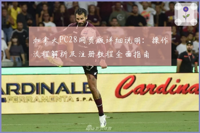 加拿大PC28网页版详细说明：操作流程解析及注册教程全面指南
