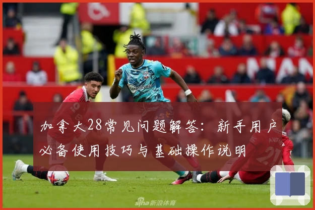 加拿大28常见问题解答：新手用户必备使用技巧与基础操作说明