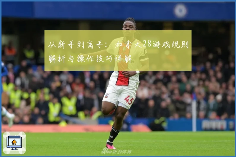 从新手到高手：加拿大28游戏规则解析与操作技巧详解