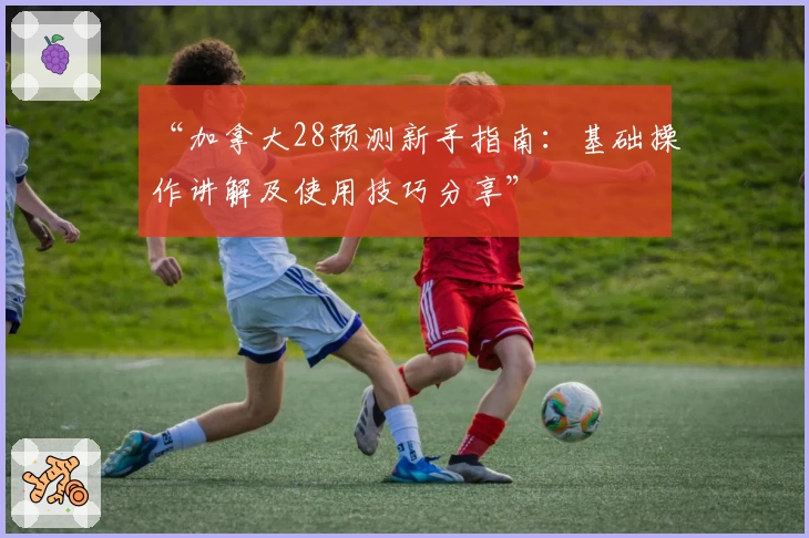 “加拿大28预测新手指南：基础操作讲解及使用技巧分享”