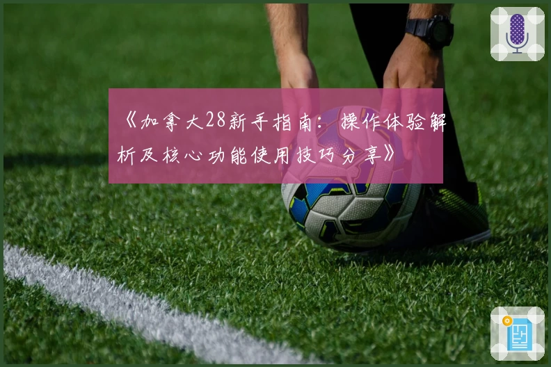 《加拿大28新手指南：操作体验解析及核心功能使用技巧分享》