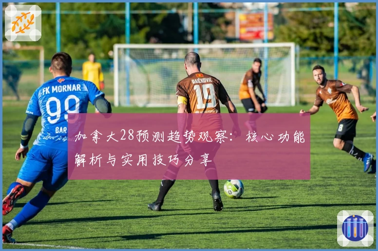 加拿大28预测趋势观察：核心功能解析与实用技巧分享