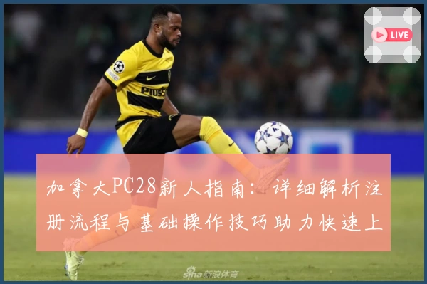 加拿大PC28新人指南：详细解析注册流程与基础操作技巧助力快速上手