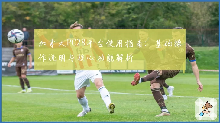 加拿大PC28平台使用指南：基础操作说明与核心功能解析
