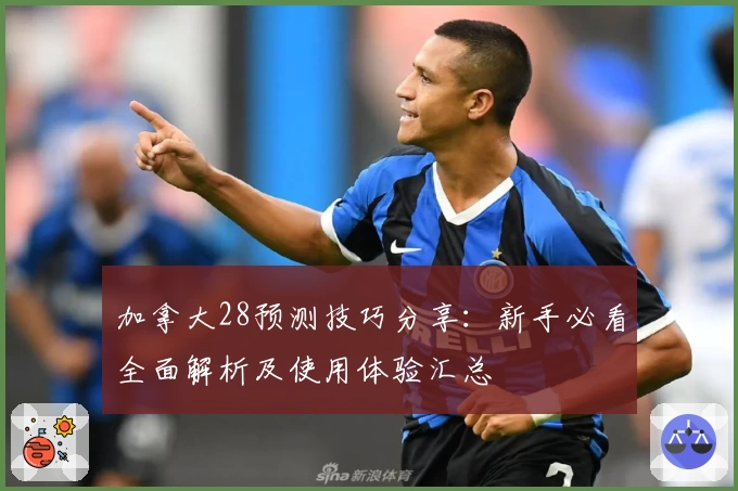 加拿大28预测技巧分享：新手必看全面解析及使用体验汇总