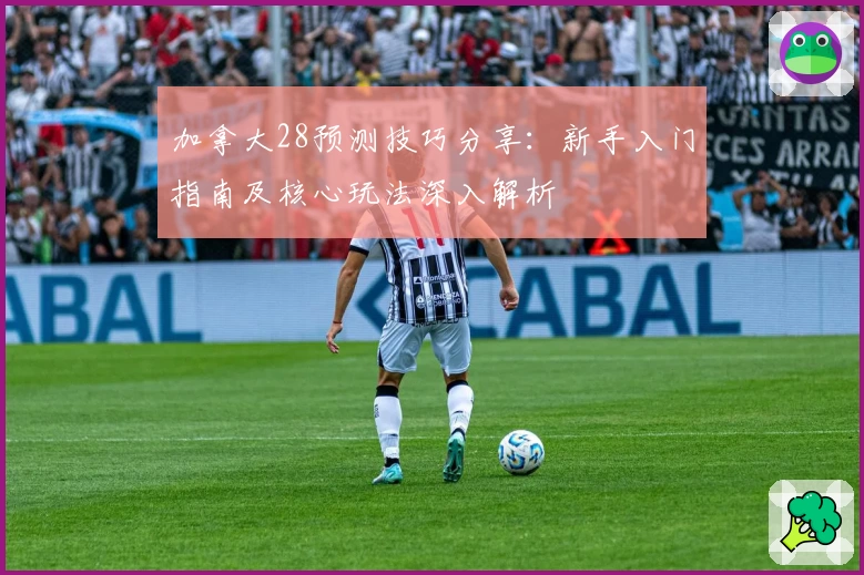 加拿大28预测技巧分享：新手入门指南及核心玩法深入解析