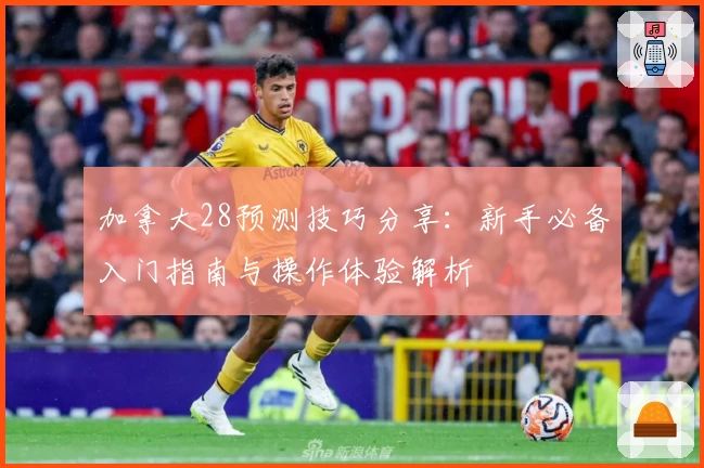 加拿大28预测技巧分享：新手必备入门指南与操作体验解析